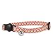 Algopix Similar Product 14 - Doskocil Aspen Pet Products CT Collar