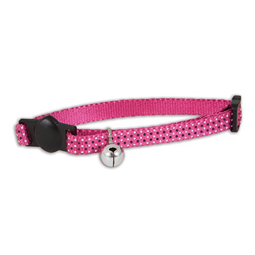 Algopix Similar Product 11 - Doskocil Aspen Pet Products CT Collar