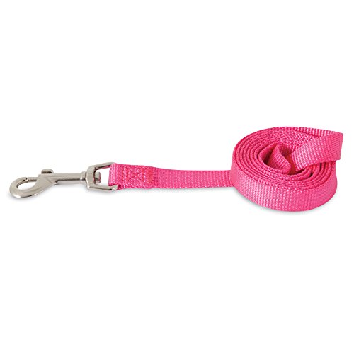 Algopix Similar Product 5 - Aspen Pet Products Standard NYL Lead