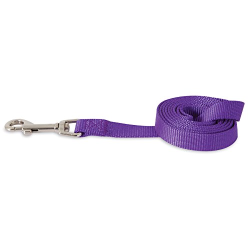 Algopix Similar Product 14 - Aspen Pet Products Standard NYL Lead