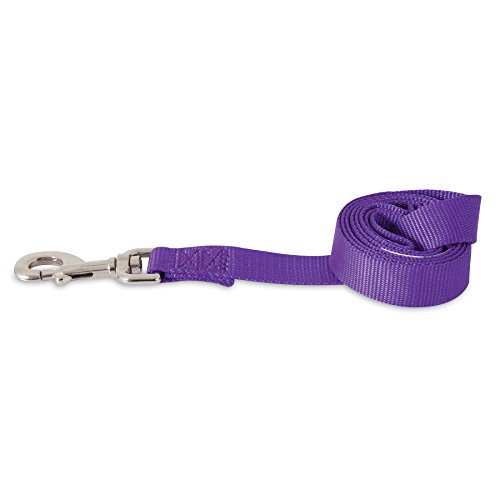 Algopix Similar Product 16 - Aspen Pet Products Standard NYL Lead