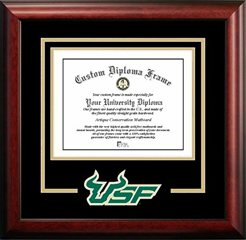 Algopix Similar Product 2 - Campus Images NCAA South Florida Bulls