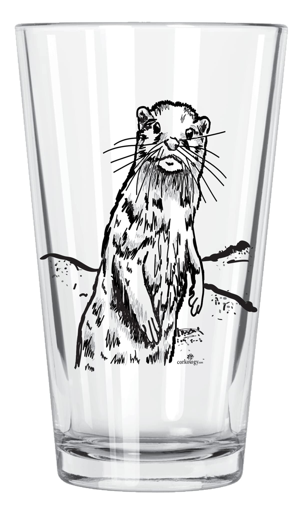 Algopix Similar Product 2 - Corkology River Otter Pint Glass, Clear
