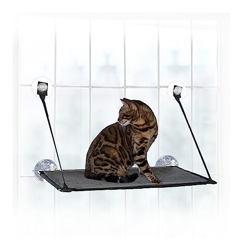 Algopix Similar Product 3 - KH Pet Products EZ Mount Cat Window