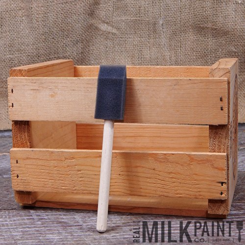 Algopix Similar Product 7 - Foam Brushes