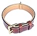 Algopix Similar Product 19 - Soft Touch Collars Padded Leather Dog