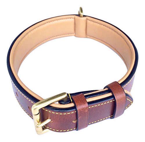 Algopix Similar Product 8 - Soft Touch Collars Padded Leather Dog