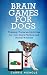 Algopix Similar Product 1 - Brain Games for Dogs Training Tricks