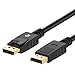 Algopix Similar Product 16 - Rankie DisplayPort to DisplayPort