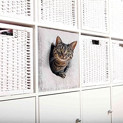 Algopix Similar Product 17 - TRIXIE Pet Products 44090 Cuddly cave