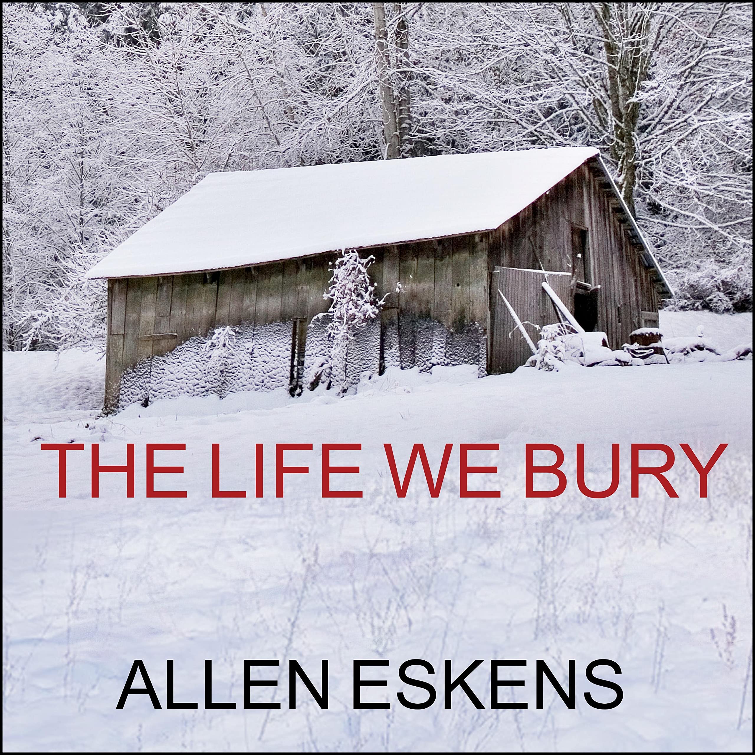 Algopix Similar Product 12 - The Life We Bury
