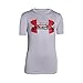 Algopix Similar Product 13 - Under Armour UA Tech Big Logo Hybrid