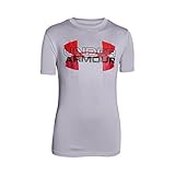 Algopix Similar Product 8 - Under Armour UA Tech Big Logo Hybrid