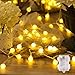 Algopix Similar Product 2 - Dailyart Globe String Light 40 Led