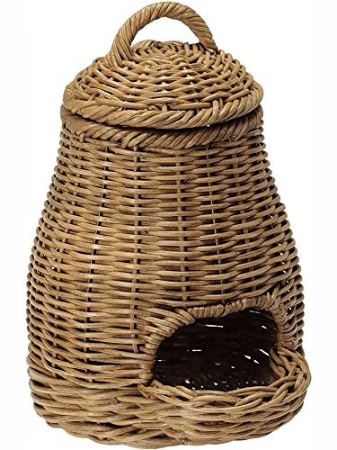 Algopix Similar Product 10 - KOUBOO 1020027 Wicker Garlic Fruit and
