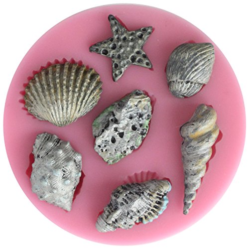 Algopix Similar Product 18 - Funshowcase Assorted Sea Star Seashells