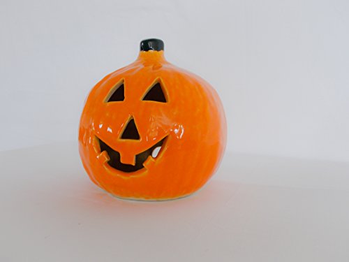 Algopix Similar Product 14 - Small Round Pumpkin