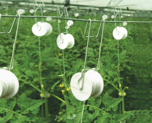 Algopix Similar Product 6 - GrowBiggerPlants RollerHook Tomato Vine