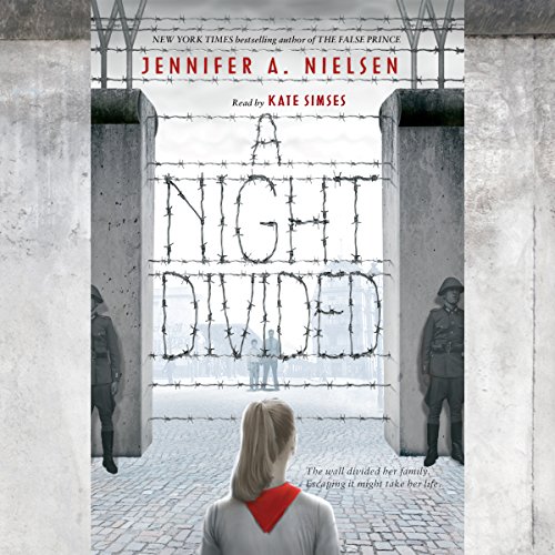 Algopix Similar Product 2 - A Night Divided