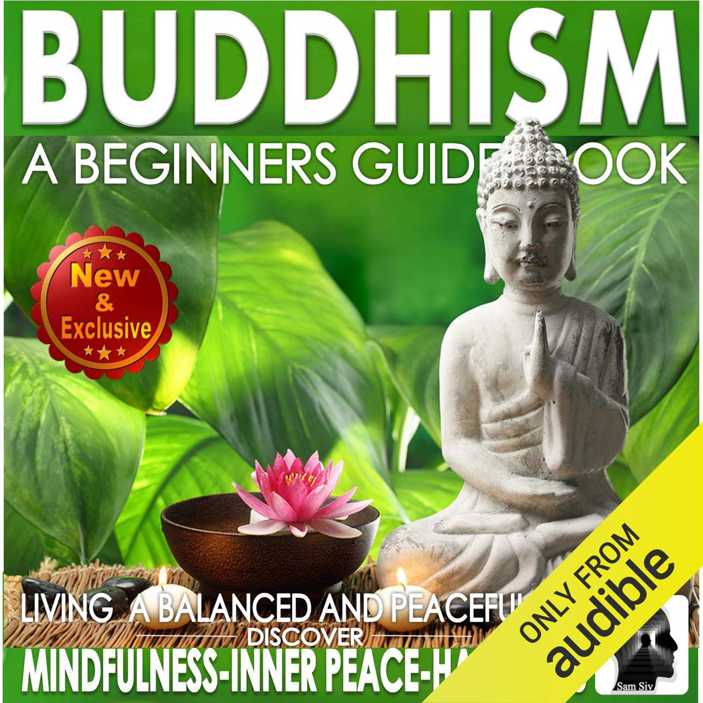 Algopix Similar Product 7 - Buddhism A Beginners Guide Book for