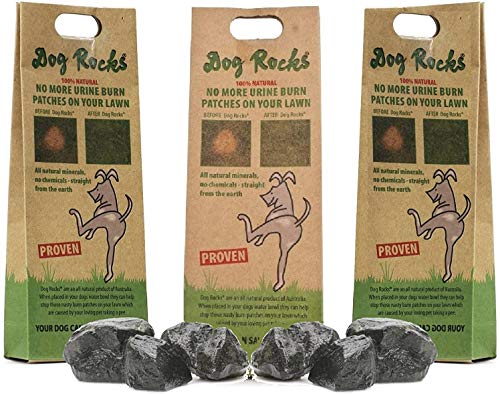 Algopix Similar Product 13 - Dog Rocks Dog Pee Grass Neutralizer for
