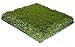 Algopix Similar Product 13 - Porch Potty Artificial Grass for Dogs