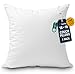 Algopix Similar Product 11 - Foamily Couch Pillows Inserts 18x18