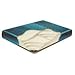 Algopix Similar Product 19 - Waterbed Queen 98 Waveless Mattress