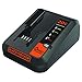 Algopix Similar Product 3 - BLACKDECKER 20V MAX Lithium Battery
