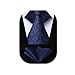 Algopix Similar Product 10 - HISDERN Plaid Blue Tie Handkerchief