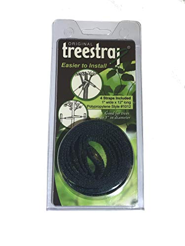 Algopix Similar Product 2 - Original Treestrap