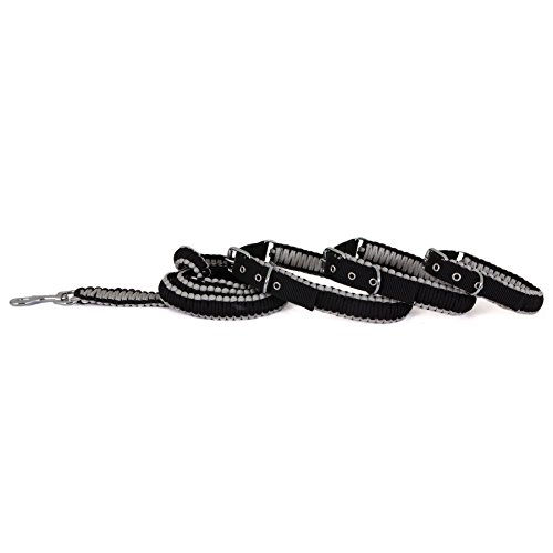 Algopix Similar Product 11 - Aspen Pet Paracord Leash Black 34 x