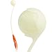 Algopix Similar Product 19 - Chuckit Pro 25M Max Glow Dog Ball