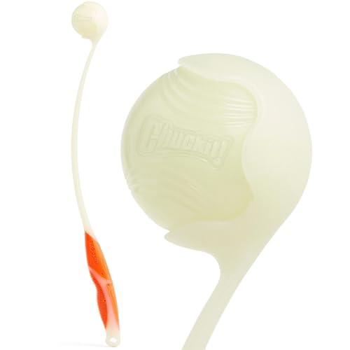 Algopix Similar Product 11 - Chuckit Pro 25M Max Glow Dog Ball