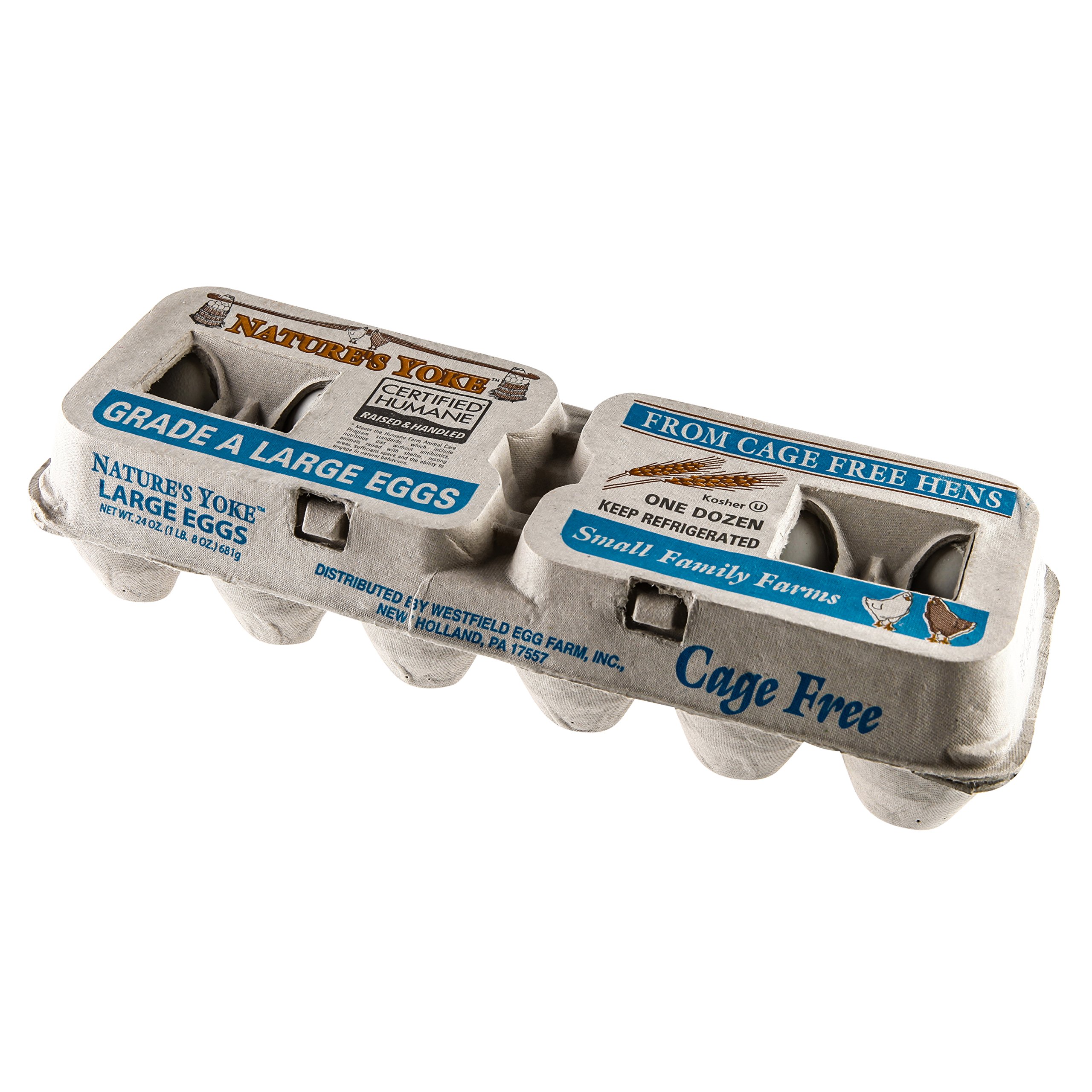 Algopix Similar Product 14 - Natures Yoke Grade A Large Eggs 12