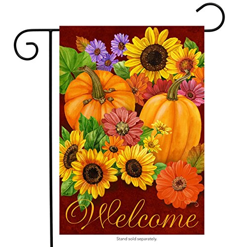 Algopix Similar Product 16 - Briarwood Lane Fall Glory Floral Garden