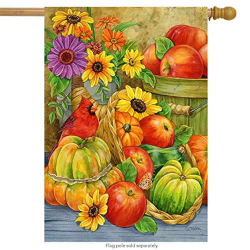 Algopix Similar Product 1 - Briarwood Lane Abundant Blessings Fall