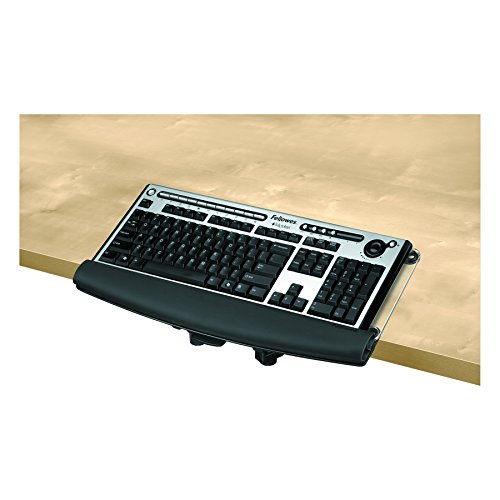 Algopix Similar Product 17 - Fellowes ISpire Series Desktop Edge