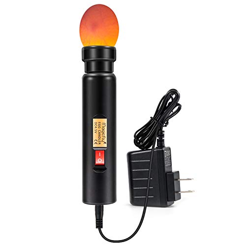 Algopix Similar Product 7 - Magicfly Bright Cool LED Light Egg