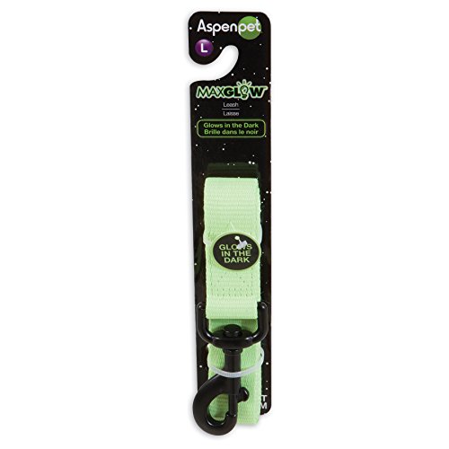 Algopix Similar Product 8 - Petmate Glowin Dark Leash 1 x 4