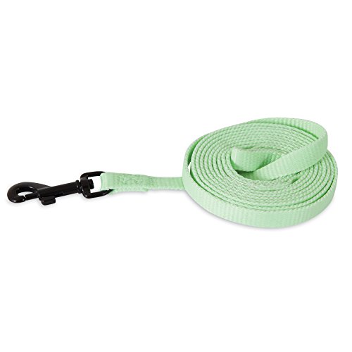Algopix Similar Product 19 - Petmate GlowIn Dark Leash 38 x 6