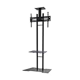 Algopix Similar Product 5 - Newstar PLASMAM1700ES MonitorTV Floor