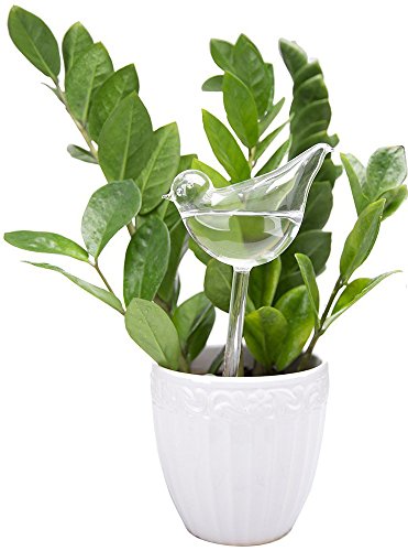 Algopix Similar Product 17 - Mkono 1 Pack Self Watering Globes 