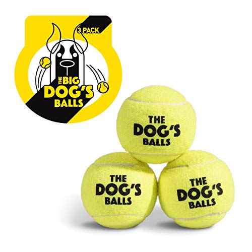 Algopix Similar Product 17 - The Big Dogs Balls Dog Tennis Balls