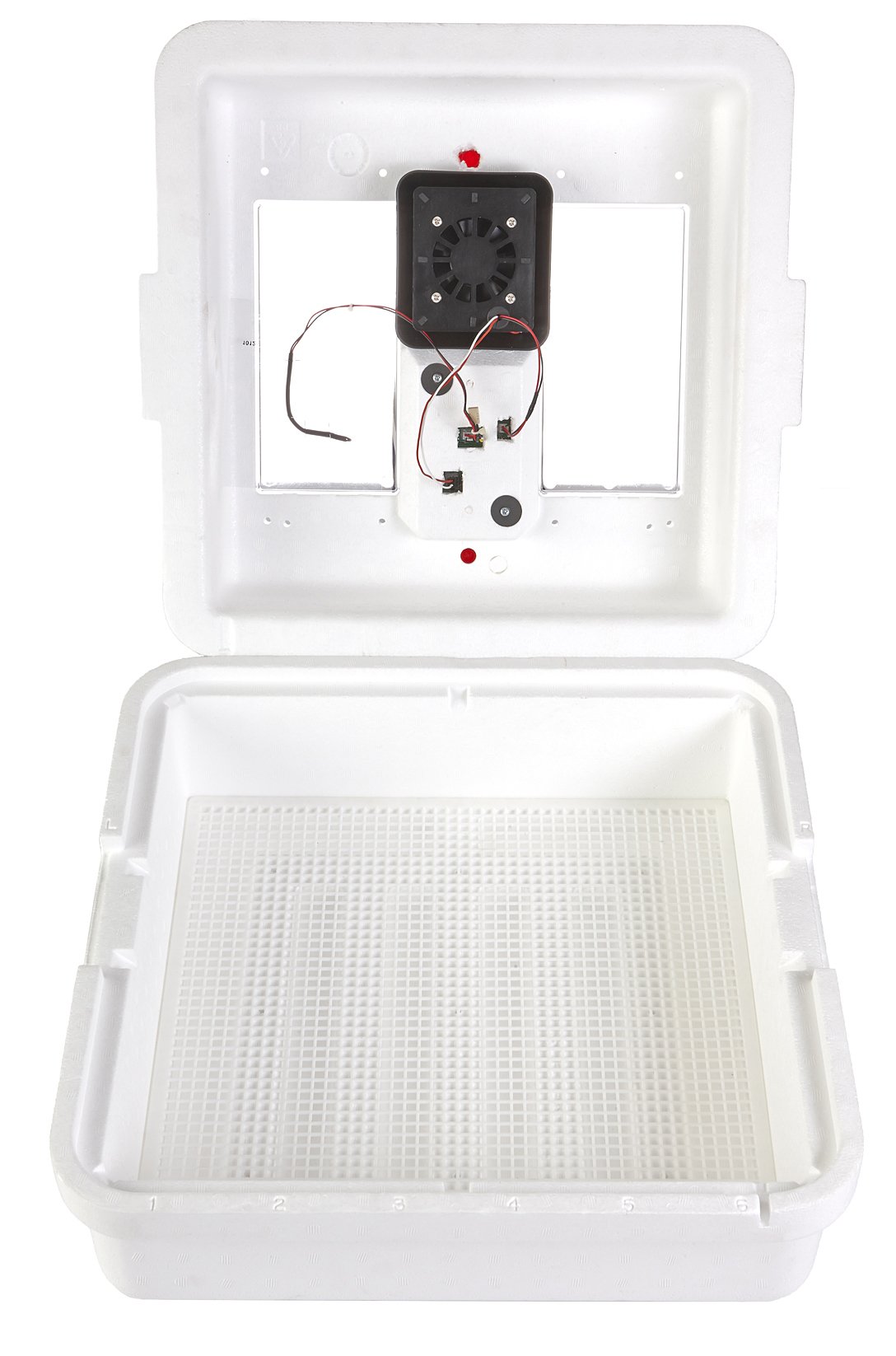 Algopix Similar Product 5 - Little Giant Digital Circulated Air