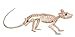 Algopix Similar Product 11 - Crazy Bonez Skeleton - Rat Bonez