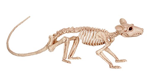 Algopix Similar Product 13 - Crazy Bonez Skeleton - Rat Bonez