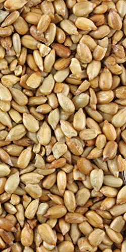 Algopix Similar Product 18 - Sunflower Seeds Hulled Roasted Unsalted