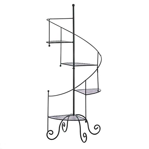 Algopix Similar Product 3 - Zingz and Thingz Spiral Showcase Plant