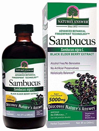 Algopix Similar Product 6 - Natures Answer AlcoholFree Sambucus